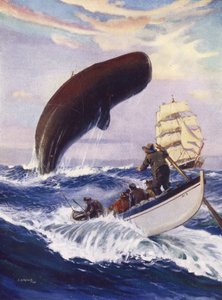 Der Wal hob seinen ganzen massiven Körper aus dem Wasser von English School