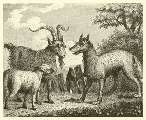 Der Wolf, das Lamm und die Ziege von English School