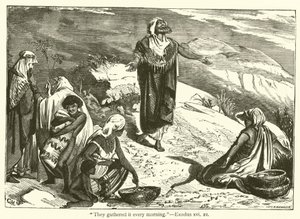 "Sie sammelten es jeden Morgen", Exodus, xvi, 21