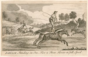 Thomas Johnson auf einem, zwei und drei Pferden im vollen Galopp