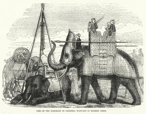 Verwendung des Elefanten in der orientalischen Kriegsführung in der Neuzeit