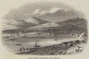 Ansicht von Port Wellington, Neuseeland (Stich) von English School
