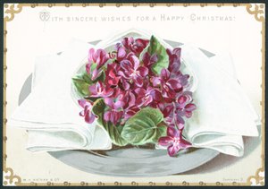 Veilchen, Weihnachtskarte von English School
