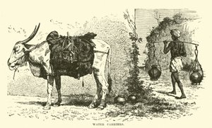 Wasserträger von English School