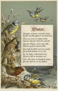 Winter