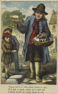 Junge Lämmer zu verkaufen von English School