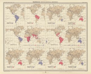 Zoogeographie: Säugetiere, Edentata, Beuteltiere, Kloakentiere von English School