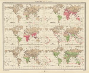 Zoogeographie: Säugetiere, Primaten, Fledertiere (Farblithografie) von English School