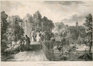 Zoologische Gärten, Regents Park von English School