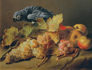 Stillleben mit Papagei und Trauben von Erasmus von Engert