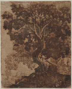 Baum in einer Landschaft