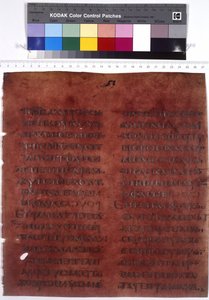 Ganzseitige Textseite von Erich Lessing