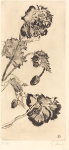 Blumen (Fleurs) von Ernest Ange Duez