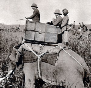 George V. 1911 auf Jagd in Nepal (1911)