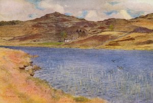 Loch Howie oder Wee