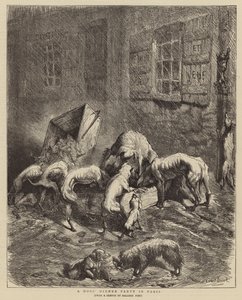 Ein Hundedinner in Paris