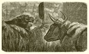 Der Hund im Krippenstall von Ernest Henry Griset