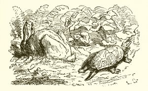 Der Hase und die Schildkröte