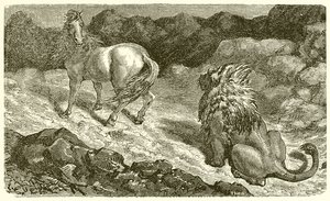 Das Pferd und der Löwe
