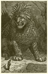 Der Löwe und die Maus