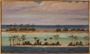 Triptychon eines Atolls, 1871