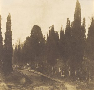Türkei: Friedhof von Scutari