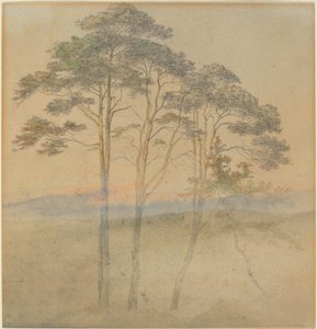 Kiefern im Morgennebel von Ernst Ferdinand Oehme