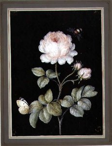 Rose mit Hummel und Schmetterling von Ernst Friedrich Carl Lang