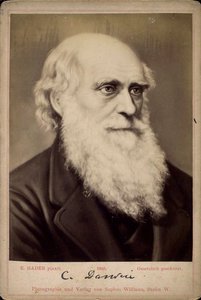 Charles Darwin, britischer Naturforscher von Ernst Hader