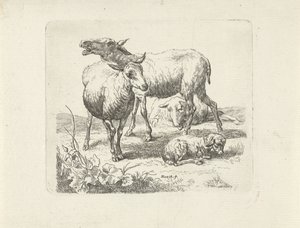Drei Schafe und ein Lamm auf einer Weide von Ernst Ludwig Creite