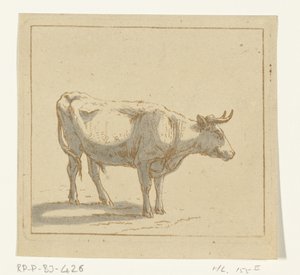 Stier stehend, nach rechts