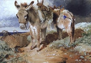 Esel, 1855
