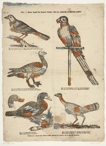 Wilt / Oh! junge Jugend, diese Vögel betrachten / Die sehr lebendig aussehen von Erven de Weduwe Jacobus van Egmont