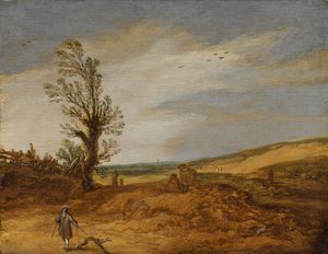 Ein Blick in die Dünen