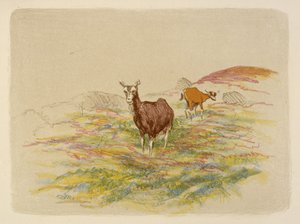 Ziegen auf einem Feld