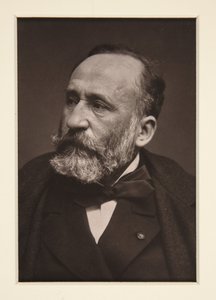 Porträt von Pierre Puvis de Chavannes (1824-1898) von Etienne Carjat