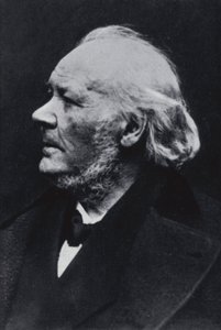 Der Illustrator Honore Daumier von Etienne Carjat