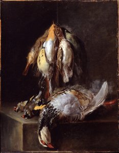Tote Vögel