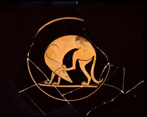 Attische rotfigurige Schale mit Hund, der sich mit einem Hinterbein am Ohr kratzt, innen Tondo, 5. Jahrhundert v. Chr.