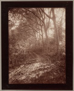 Parc de Sceaux von Eugène Atget