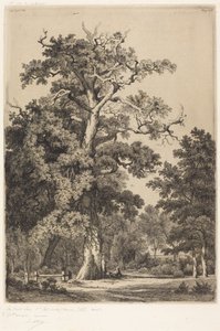 Alter Eiche im Bois de Boulogne von Eugene Bléry