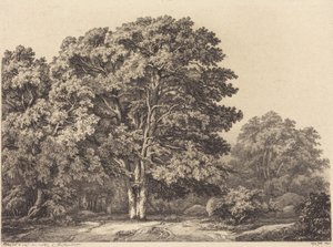 Eingang zu einem Wald von Eugene Bléry