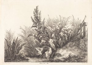 Geduld des Wassers, Studie von Eugene Bléry