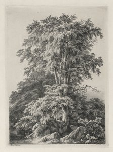 Studien, nach der Natur gezeichnet und graviert: Der Strand, Fontainebleau
