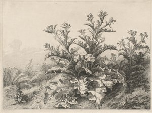 Die große Distel von Eugene Bléry