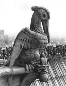 Pelikan-Wasserspeier von der Balustrade der Grande Galerie der Westfassade, Replik eines Originals aus dem 12. Jahrhundert