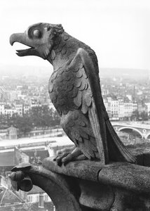 Wasserspeier von der Balustrade der Grande Galerie der Westfassade, Replik eines Originals aus dem 12. Jahrhundert