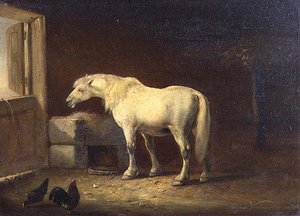Weißes Pferd im Stall