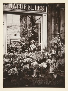 Blumenladen