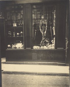 Naturaliste, Rue de l